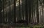   / Colonia - 