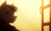    / Boku no Hero Academia - 8 , 3 