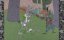 ������� ������� / Merrie Melodies & Looney Tunes - 139 �����