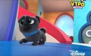 ������� ����� / Puppy Dog Pals - 3 �����, 9 ����� "������ ����� � �����"