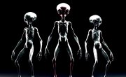 Miss Djax - Were not Humans