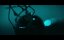    / Await Further Instructions - 