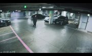 ���������� ����� / Gyeorhonui Wanseong - 1 �����, 9 �����