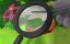 ������� ���� / Go Go DINO - 1 �����, 36 ����� "����� ������"