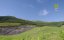   / The Dinosaur Echo - 