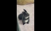 ������������ �������� �����