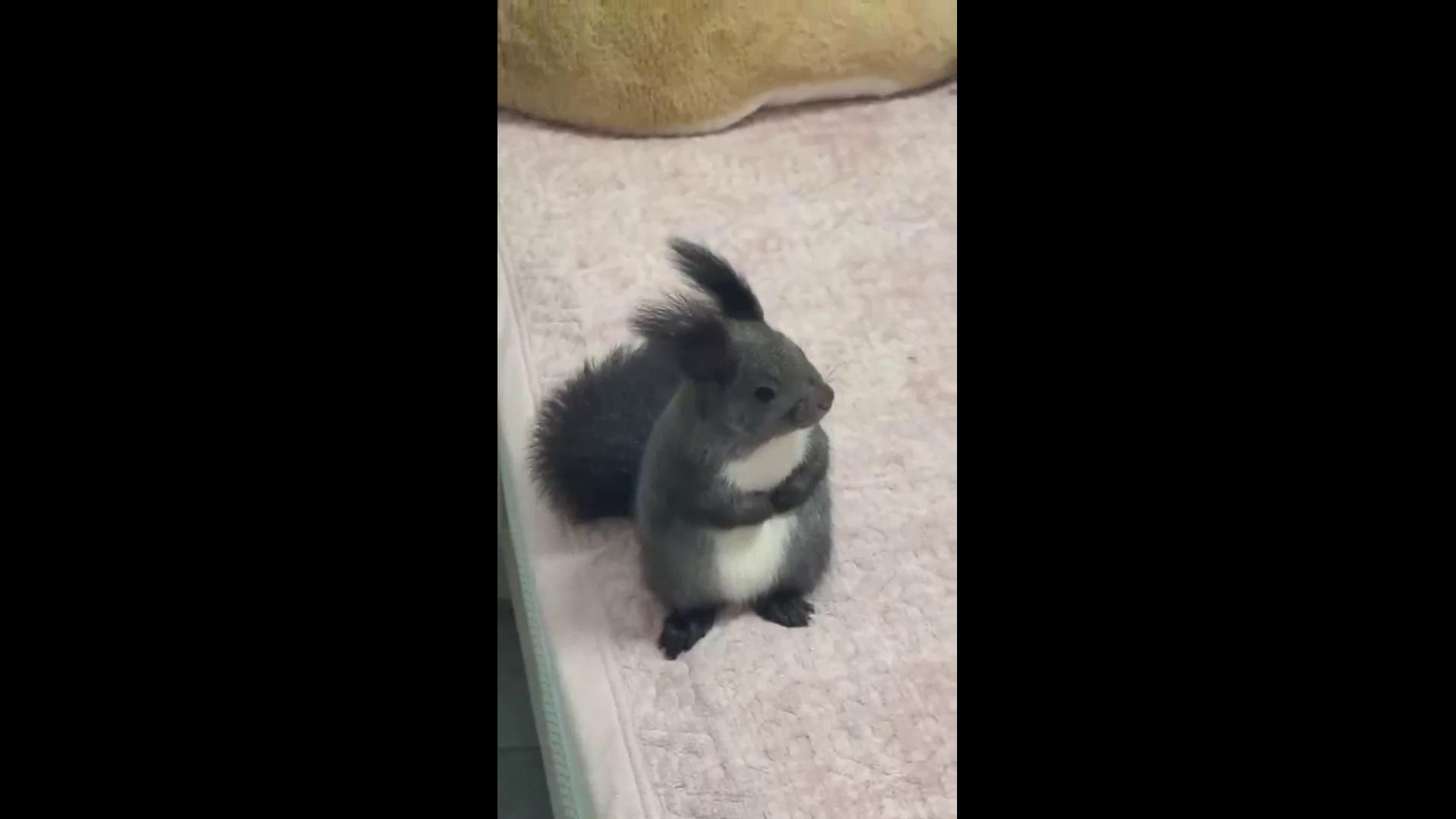 ������