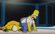 �������� / The Simpsons - 37 �����, 12 �����