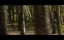  / The Ghost / Ratchan: The Ghost - 