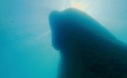 ����������� ��������� ������ / Africa's UnderWater Wonders - 1 �����, 4 �����