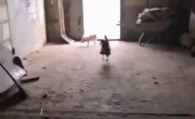� �� ����� ����  (������)