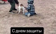���� ��� �� ���� 8)))