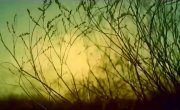   / Finality of Dusk - 