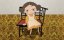 / Shashinkan / The Portrait Studio - 