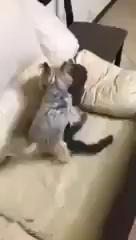 ������
