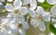������� ������� ������������� � zseek.ru