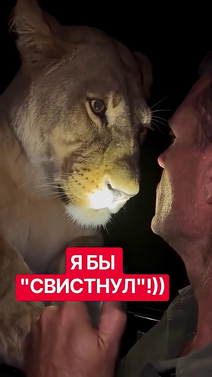 ������
