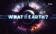 ������� ������� ����� / What on Earth? - 1 �����, 3 �����