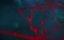 ���������� ���� / Guimi Zhi Zhu - 1 �����, 14 ����� "������. Special 1"