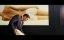 ������� ��������� / Le grand soir - �����