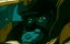   / Bounty Dog / Baunti doggu - 
