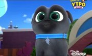������� ����� / Puppy Dog Pals - 3 �����, 52 ����� "������ ����� ����"