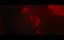 :  / Alien: Romulus -  