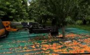���� ��������� � ������� ��������������� �������