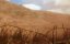   2 / Wolf Creek 2 - 