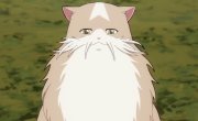 Кот и дракон / Neko to Ryuu - 1 сезон, 6 серия
