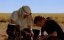    / Breaking Bad - 2 , 9  "  "