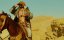   / Black Gold - 
