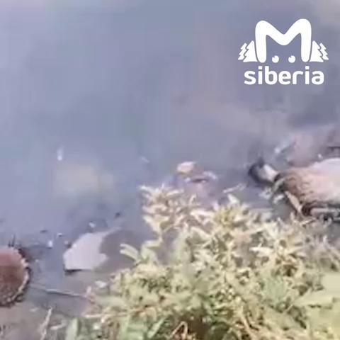 ������
