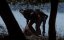  / Straightheads - 