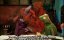 ������-��� / The Muppet Show - 1 �����, 23 �����