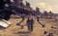   / Rockfish - 